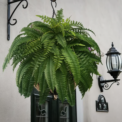 🔥Last Day 75% OFF--🌿UV Resistant Lifelike Artificial Boston Fern🌿 tiaozhuan