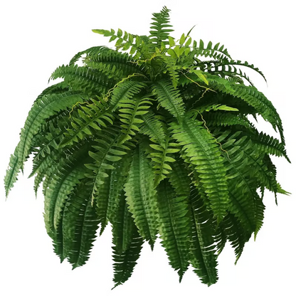 🔥Last Day 75% OFF--🌿UV Resistant Lifelike Artificial Boston Fern🌿 tiaozhuan