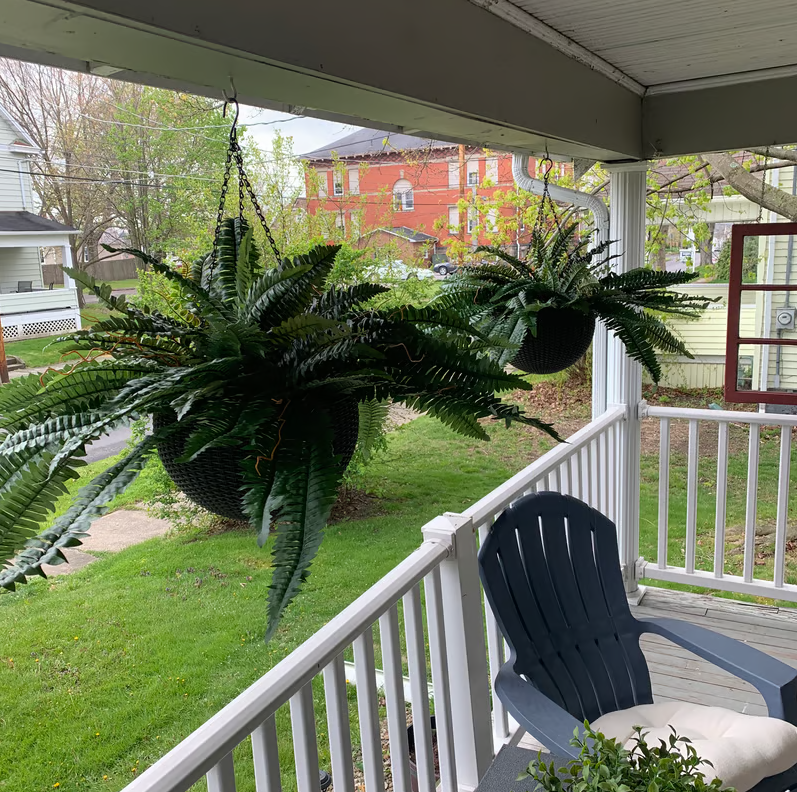 🔥Last Day 75% OFF--🌿UV Resistant Lifelike Artificial Boston Fern🌿 tiaozhuan